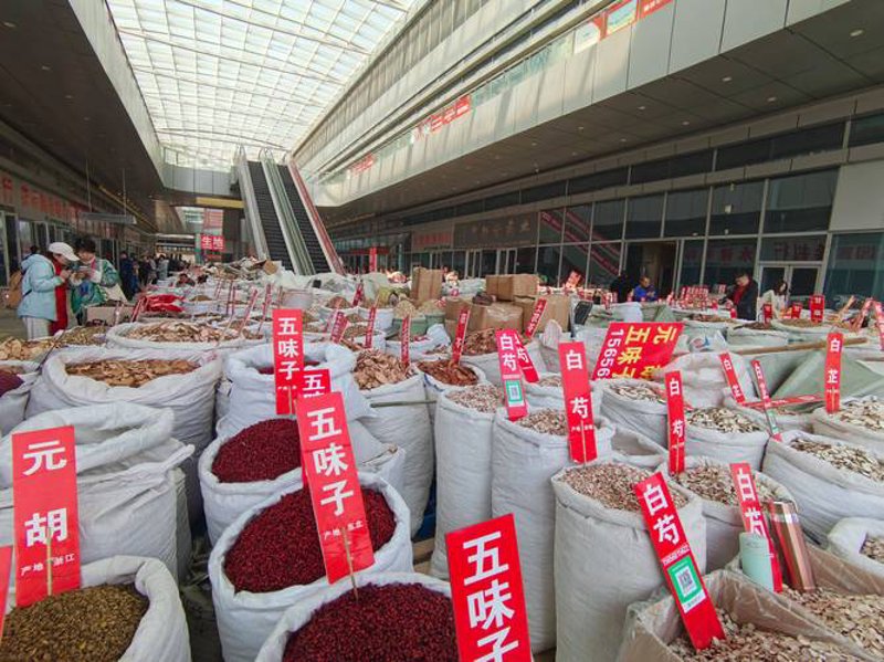 中药饮片市场：传统与现代的交汇